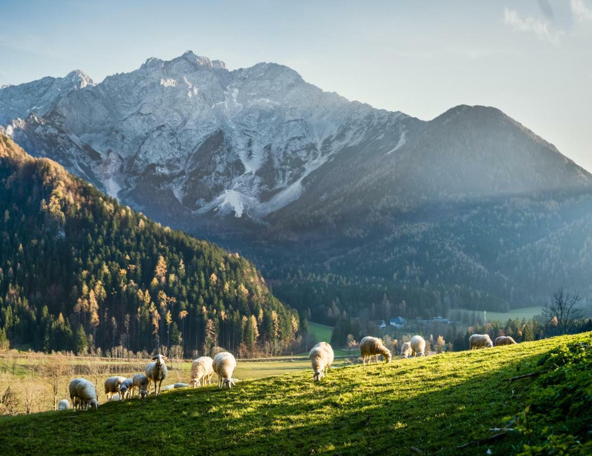 Boutique Hotel Vila Planinka Zgornje Jezersko Ngoại thất bức ảnh